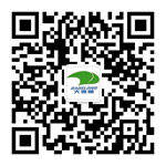 ????????oè??|Website design